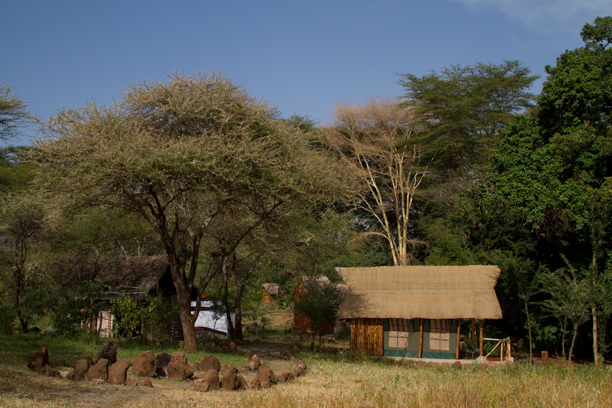 Kili Springs Camp （全套客房和食宿）