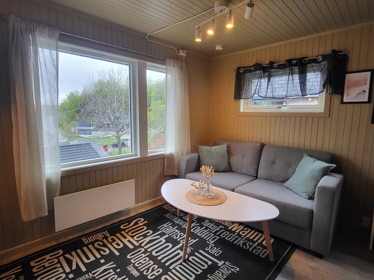 单间公寓位于斯沃尔维尔（ Svolvær ）市中心，明亮舒适