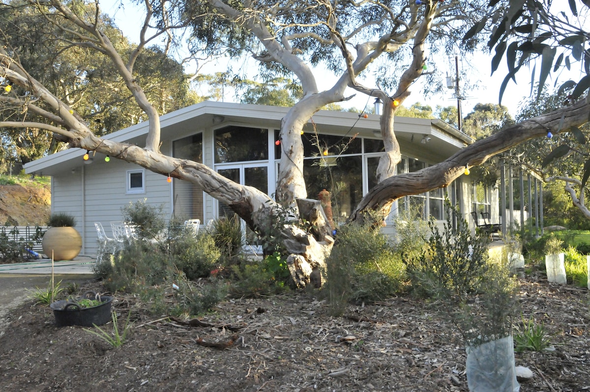 On the Range…… Willunga