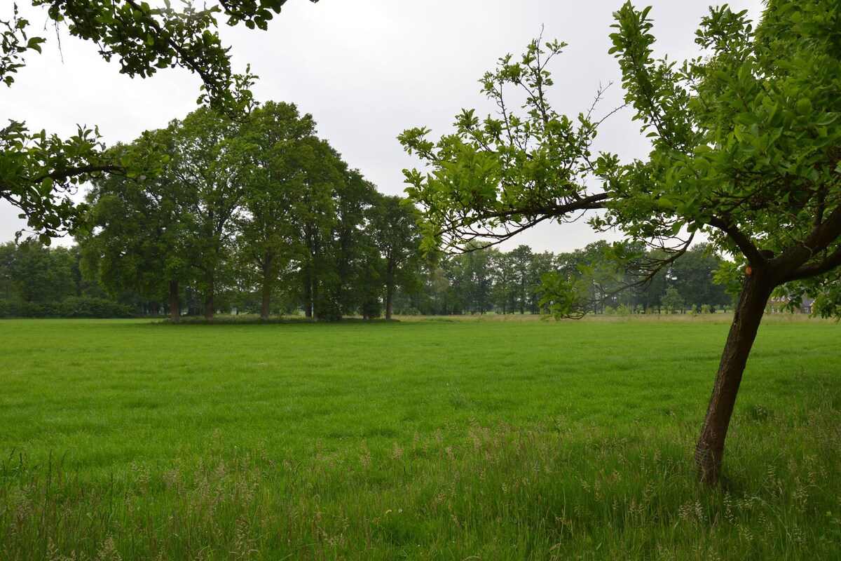 Rural holiday home, wildlife spotting from the garden, Achterhoek