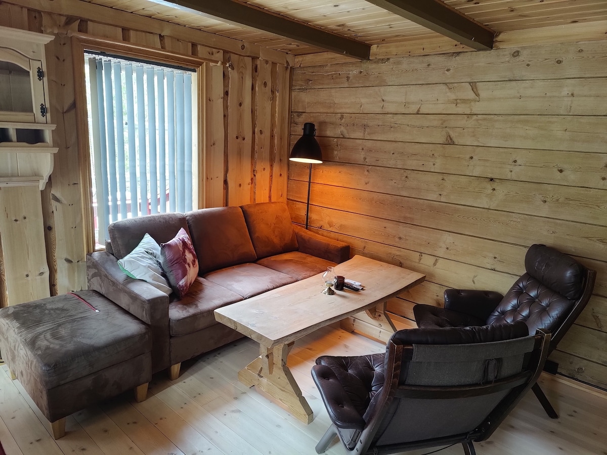 Tronstadbu- 130 year old cabin in the woods