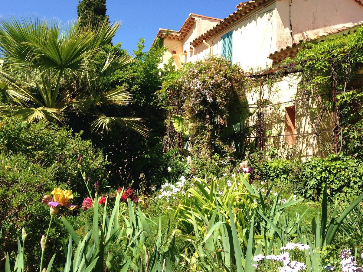 Maison Provençale avec piscine .