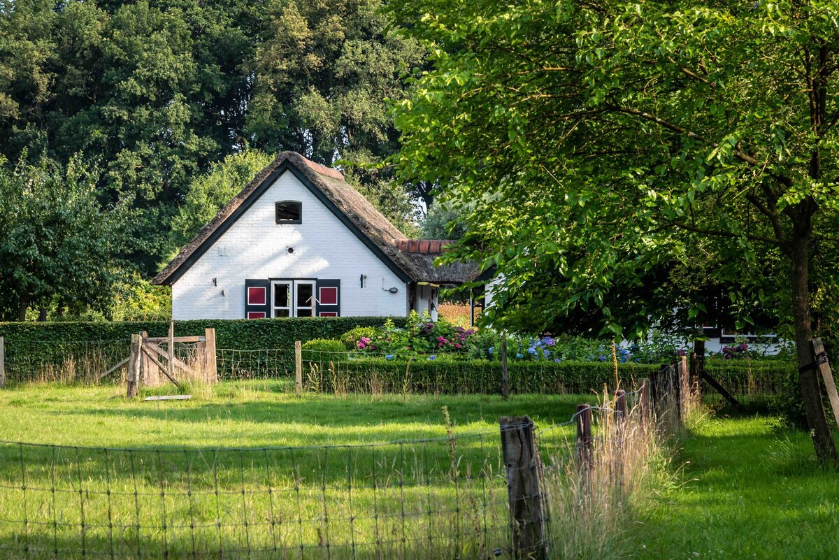 Tiny farmhouse