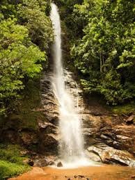 Bosque das Águas III