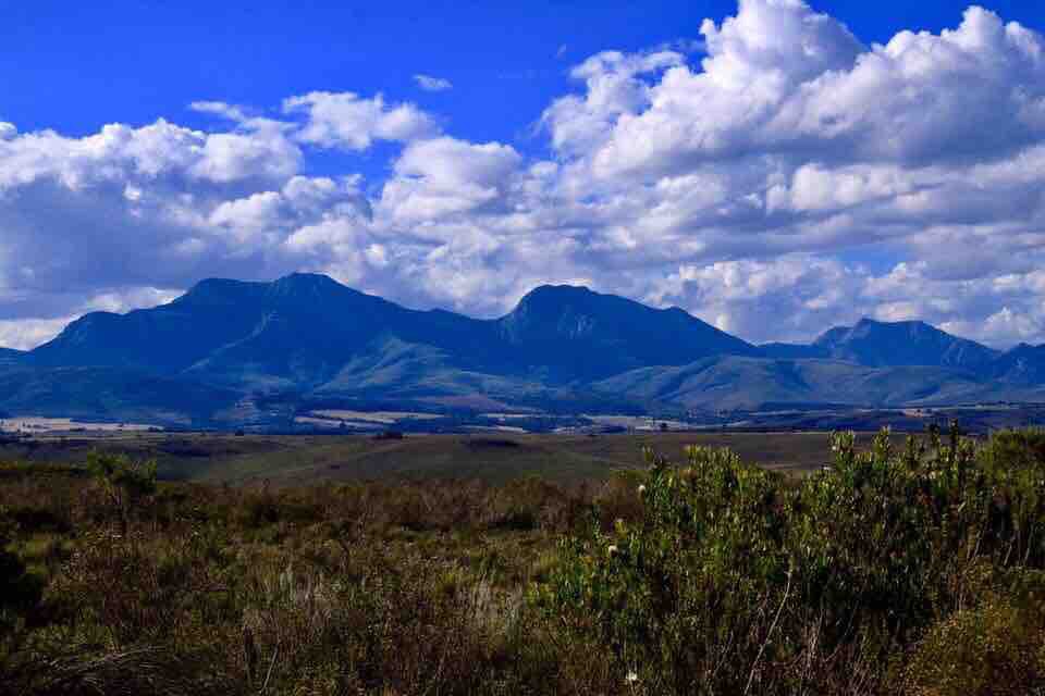 阳光明媚的公寓，带阳台