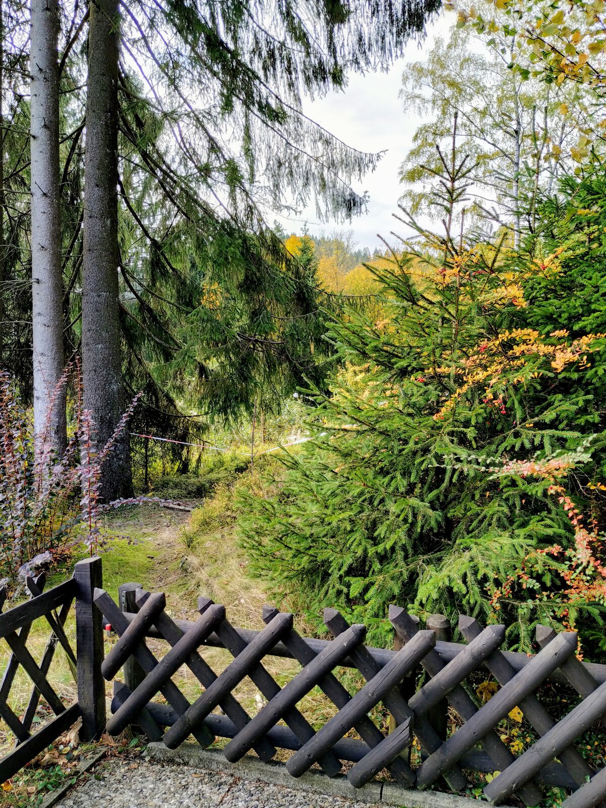 Harz Terrassen Ferienwohnung mit Traumblick
