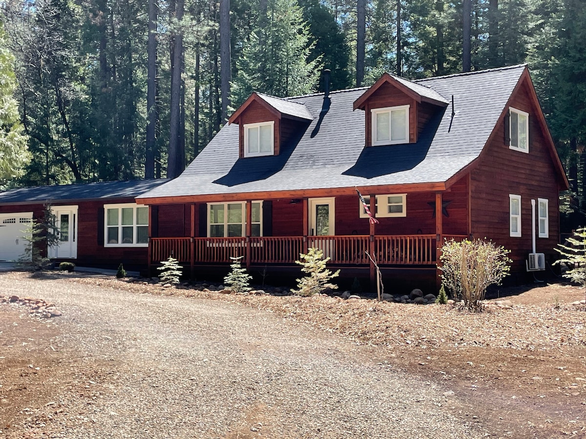 Viola Pines at Lassen