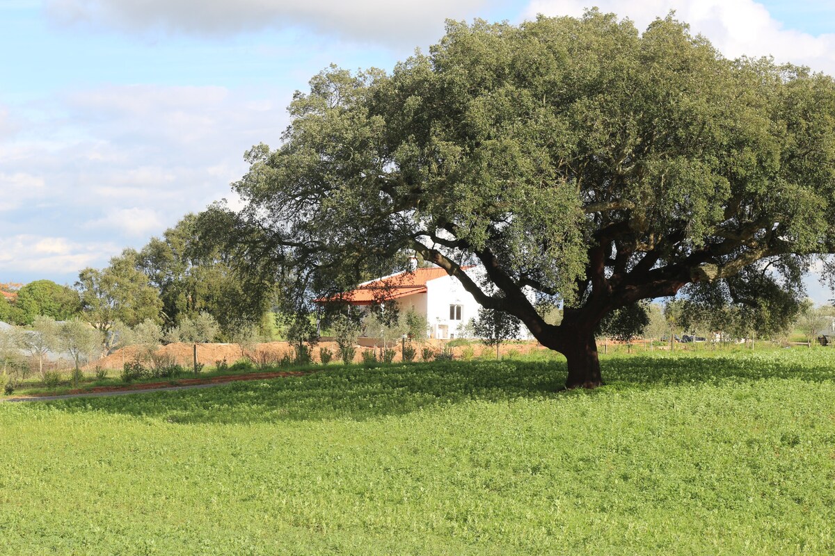 Monte Quinta Verde - Casa do Sobreiro