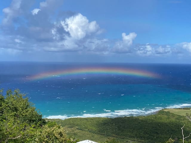 克里斯琴斯特德(Christiansted)的民宿