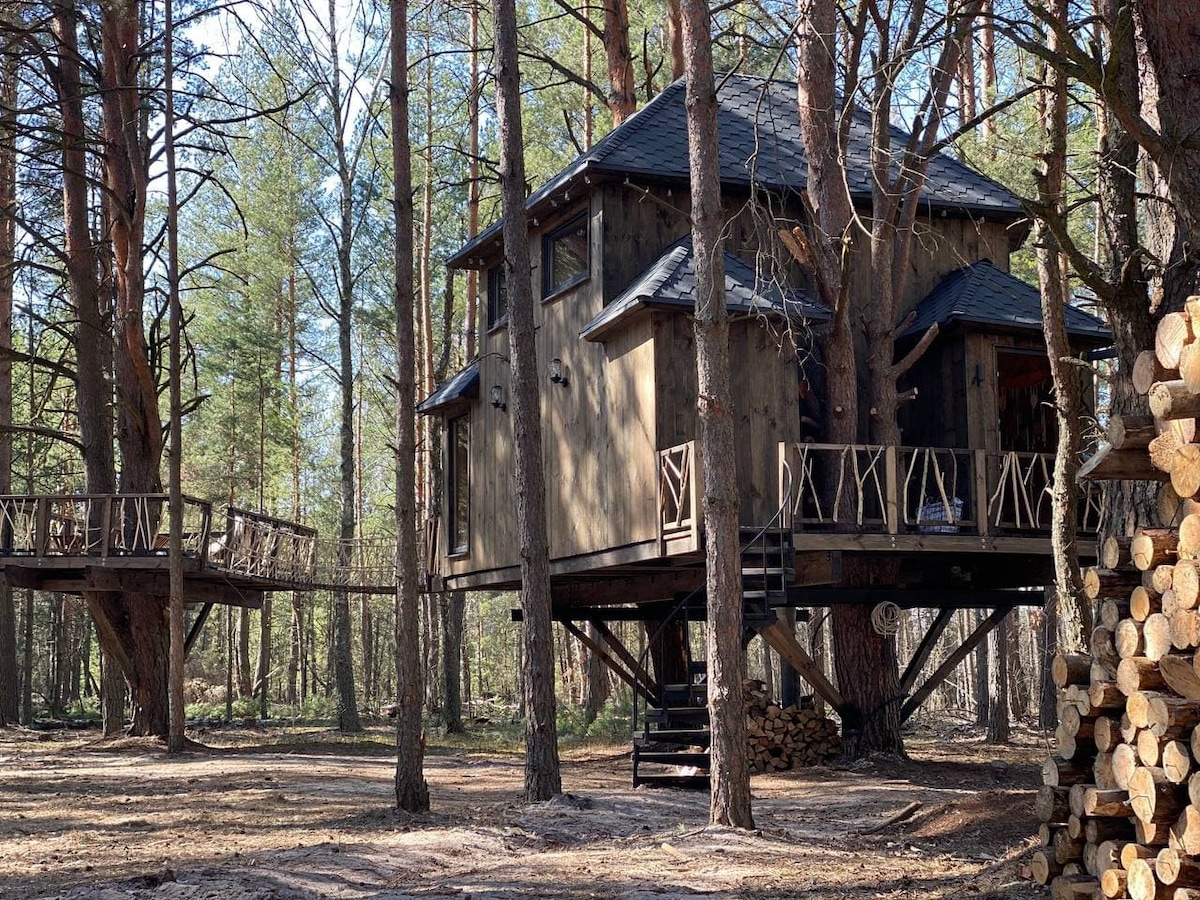 TreehouseLodge INSTA TREEHOUSE