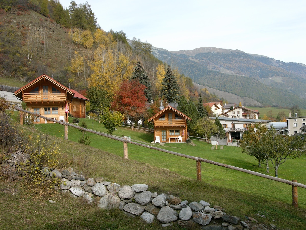 Chalet Trafögl Furmia