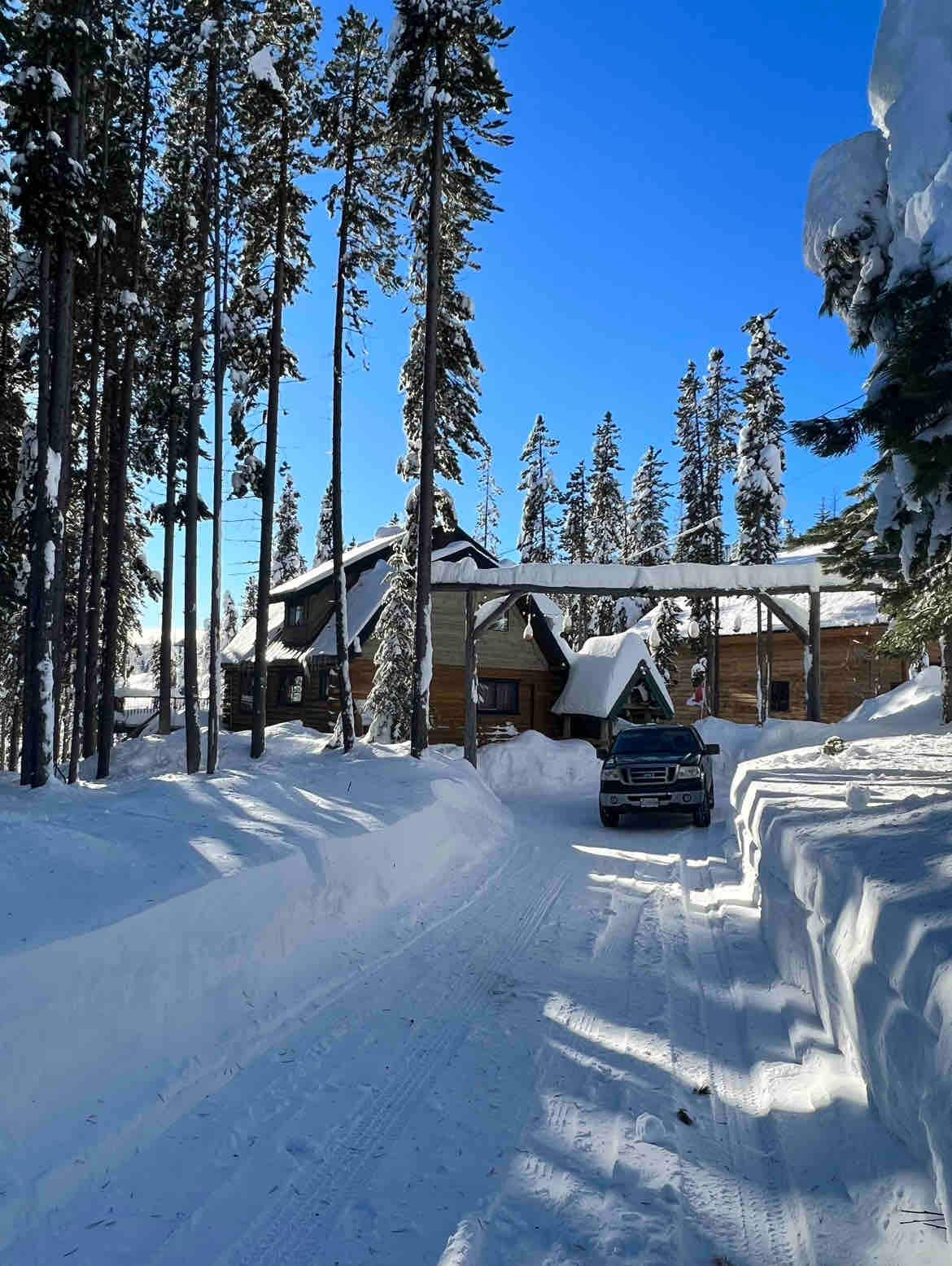 Cabin on Cougar B&B