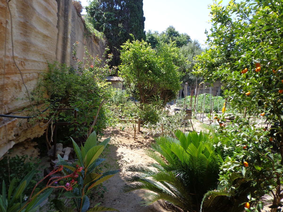 Casa Limone Favignana