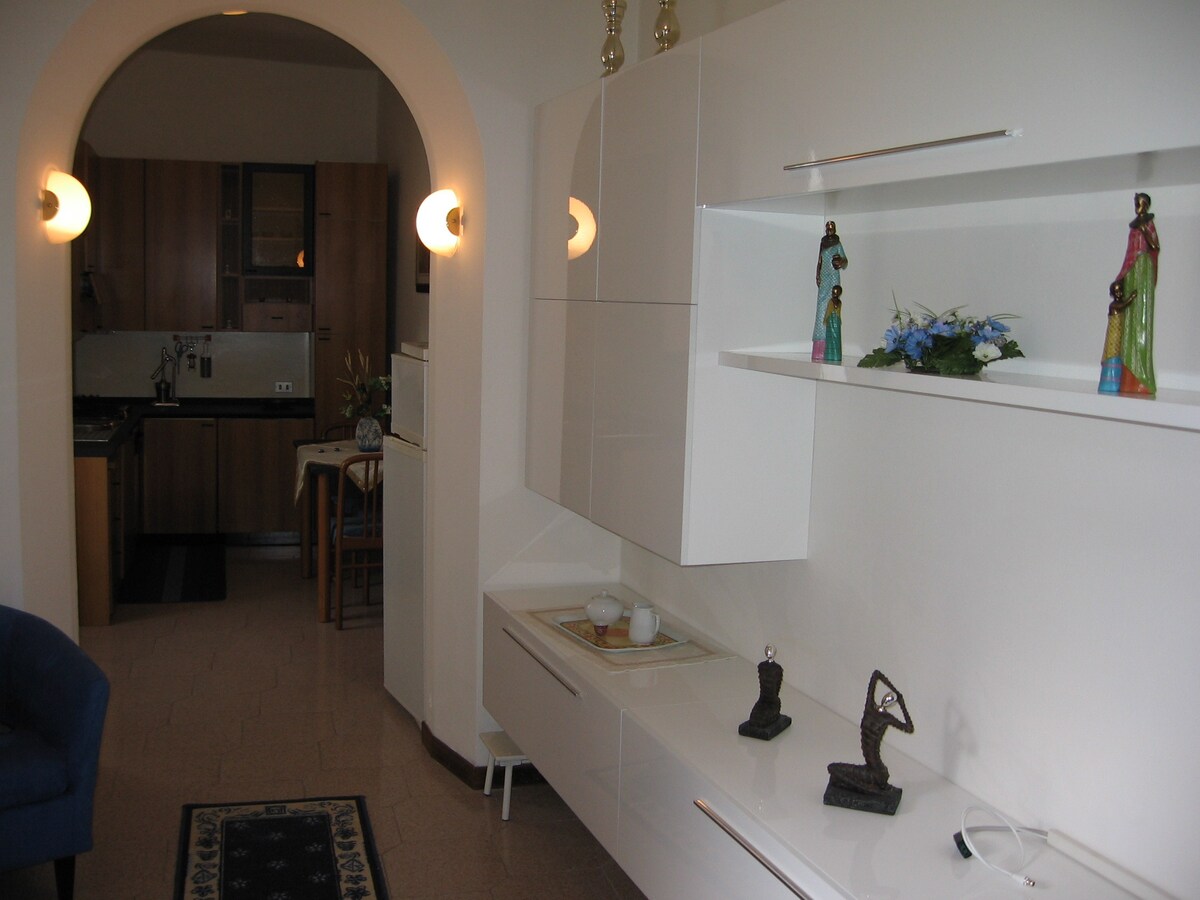 位于卡瓦乔（ Carvaggio ）市中心的两居室公寓