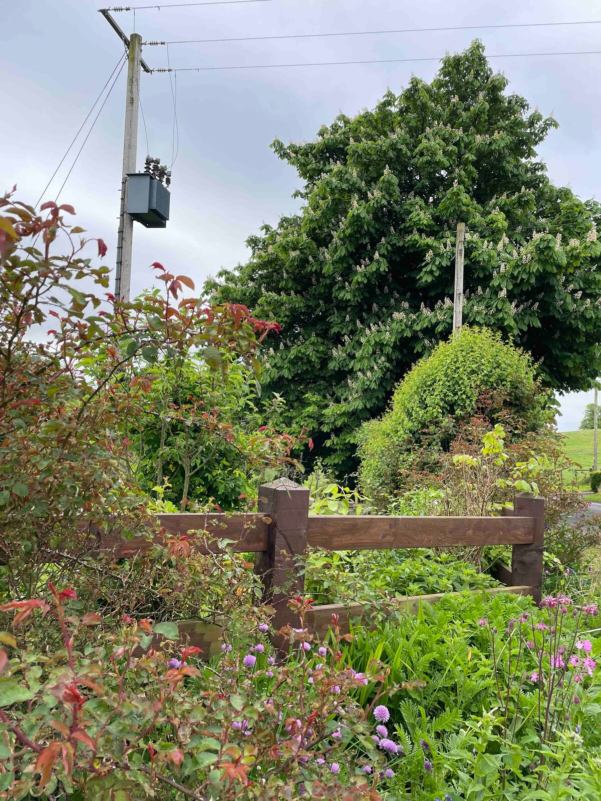 Omagh - Your home from home at The Gate Lodge