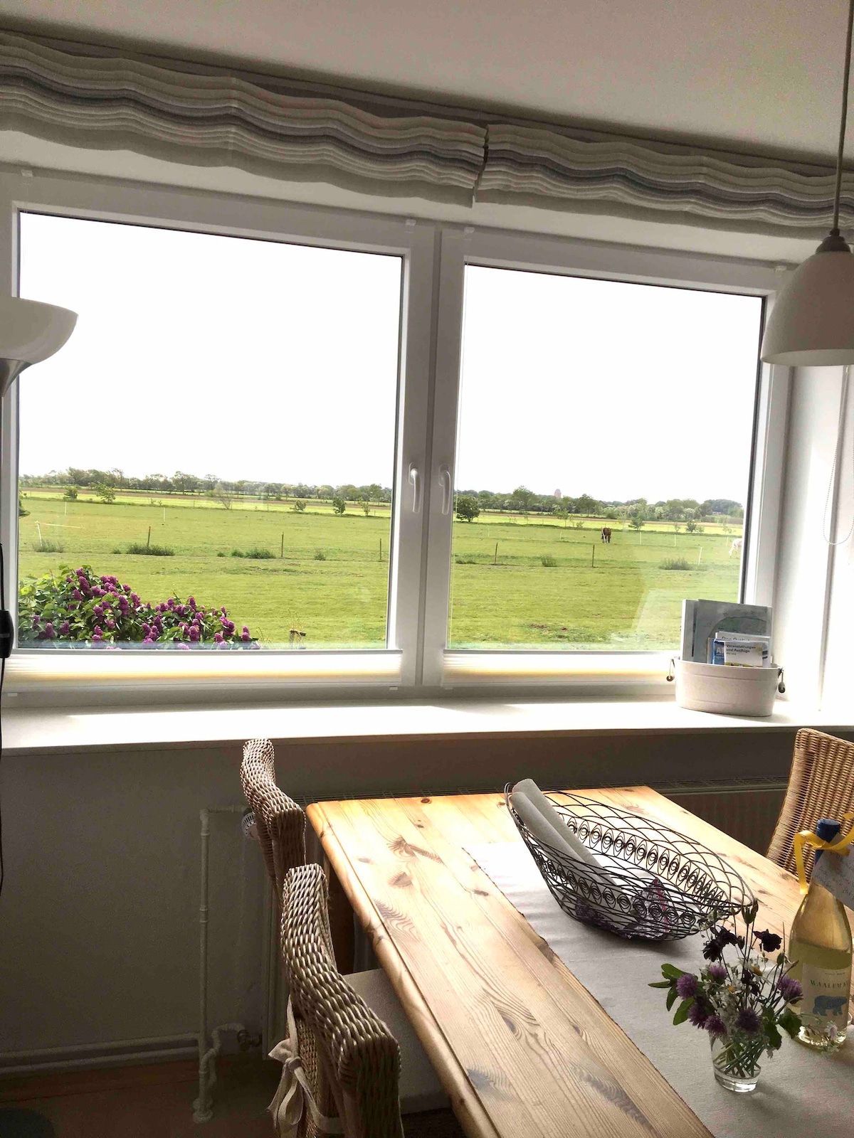 Nordseeinsel Föhr Ferienwohnung mit Weitblick