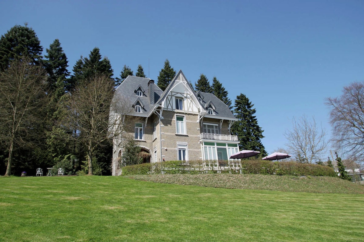 Spacious Pet-friendly Castle in Stavelot