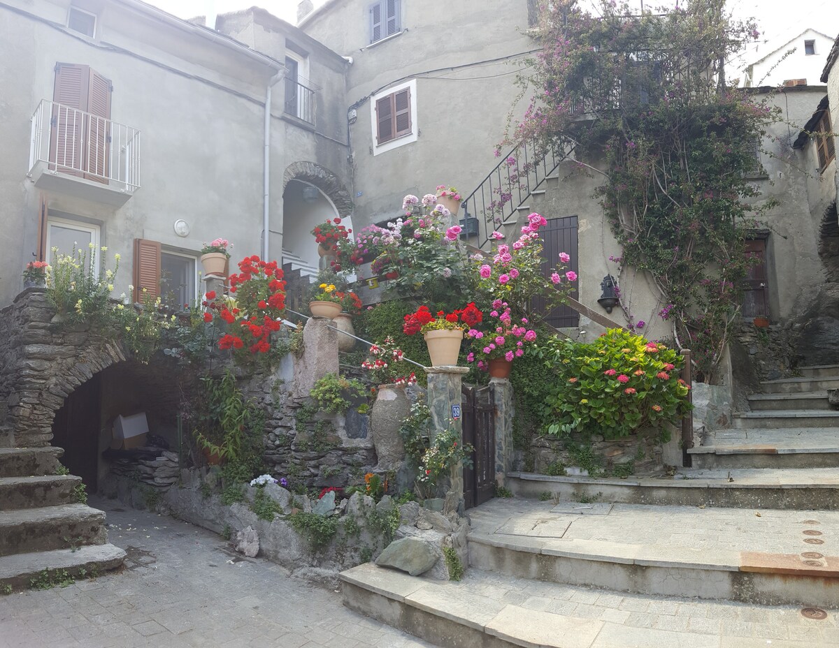位于Vignale "la Comtesse"的典型村庄住宅