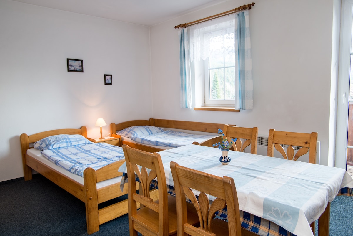 Pension Pek-Šumava-Boubín
apartmán pro 4 osoby