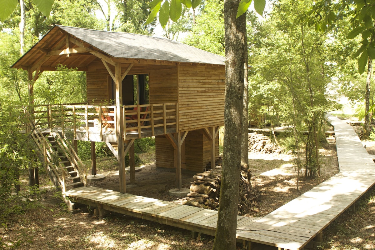 ECOLODGE DE LOIRE "LA LINERIENNE"