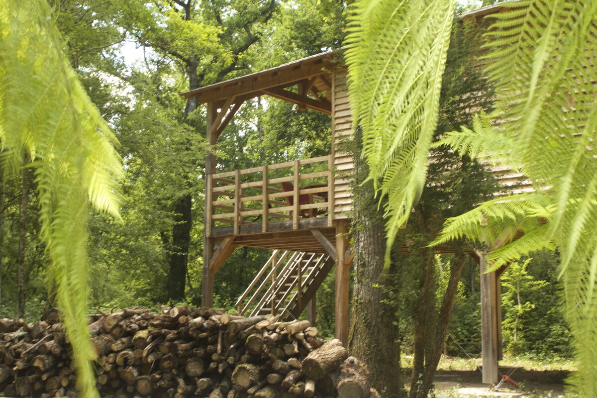 ECOLODGE DE LOIRE "LA LINERIENNE"