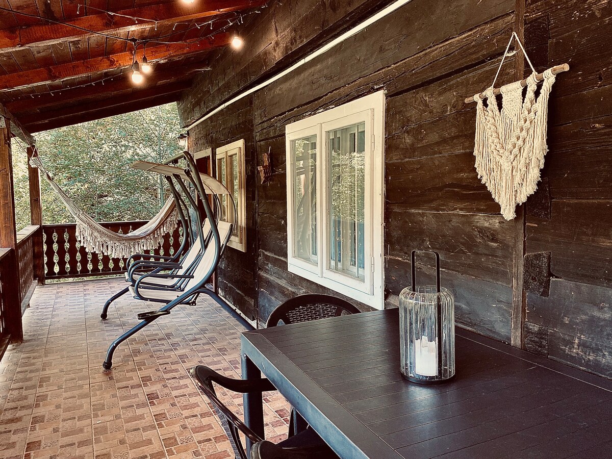 Transylvania Mountain Log Cabin - The Bliss House