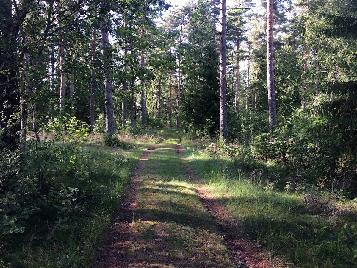 rotes Schwedenhäuschen