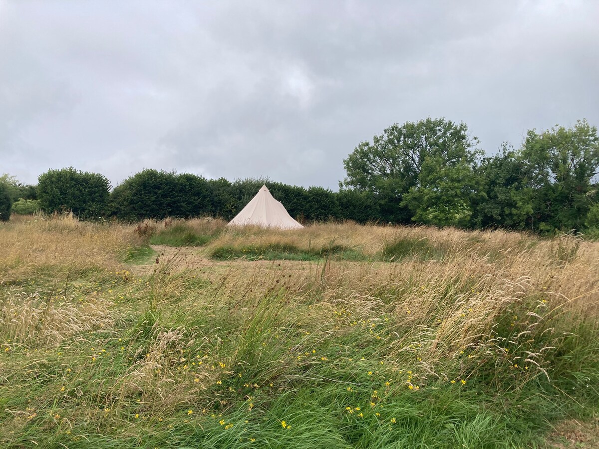 Butterfly Meadow camping - Peaceful escape Totnes