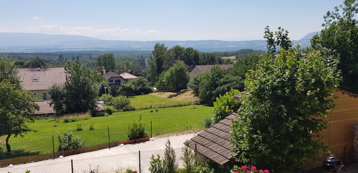 日内瓦附近的乡村别墅，距离CERN 10分钟车程