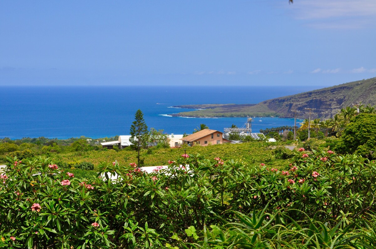 凯阿拉凯夸湾Plumeria Cottage