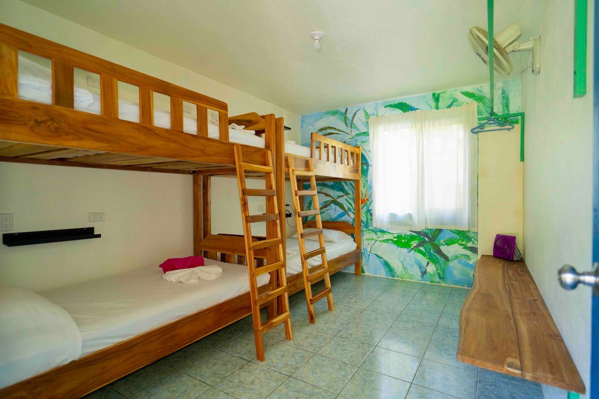 Hostel Esperanza Pavones - Dorm Bed 1
