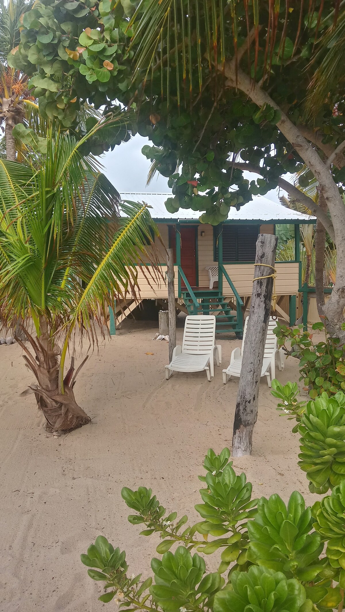 椰子小屋（ Westbys Coconut Cottage Placencia ）