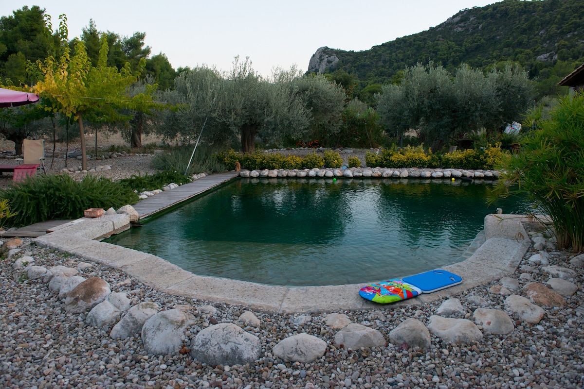 生态之旅：泳池的生物气候家庭别墅！