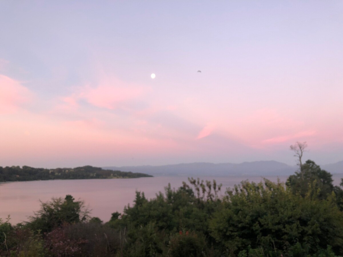 兰科湖（ Lake Ranco ）海岸美妙体验