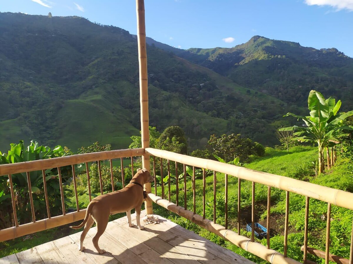 Ecocabaña En La Naturaleza para desconectarse