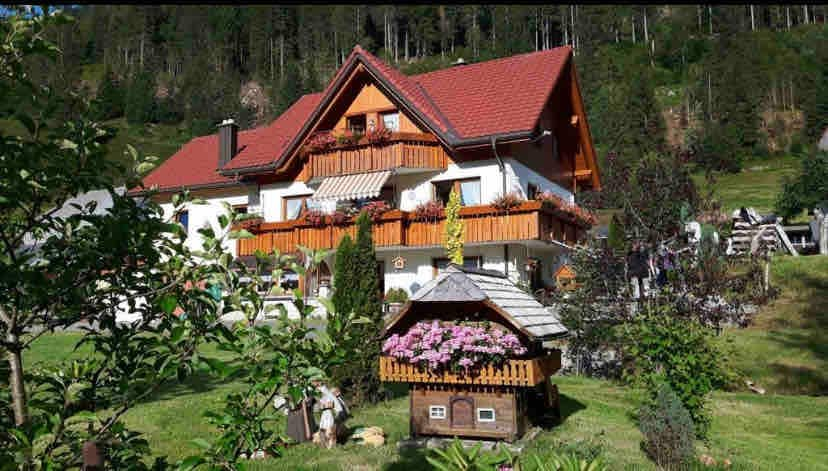 Ferienwohnung Krunkelbachblick am Feldberg