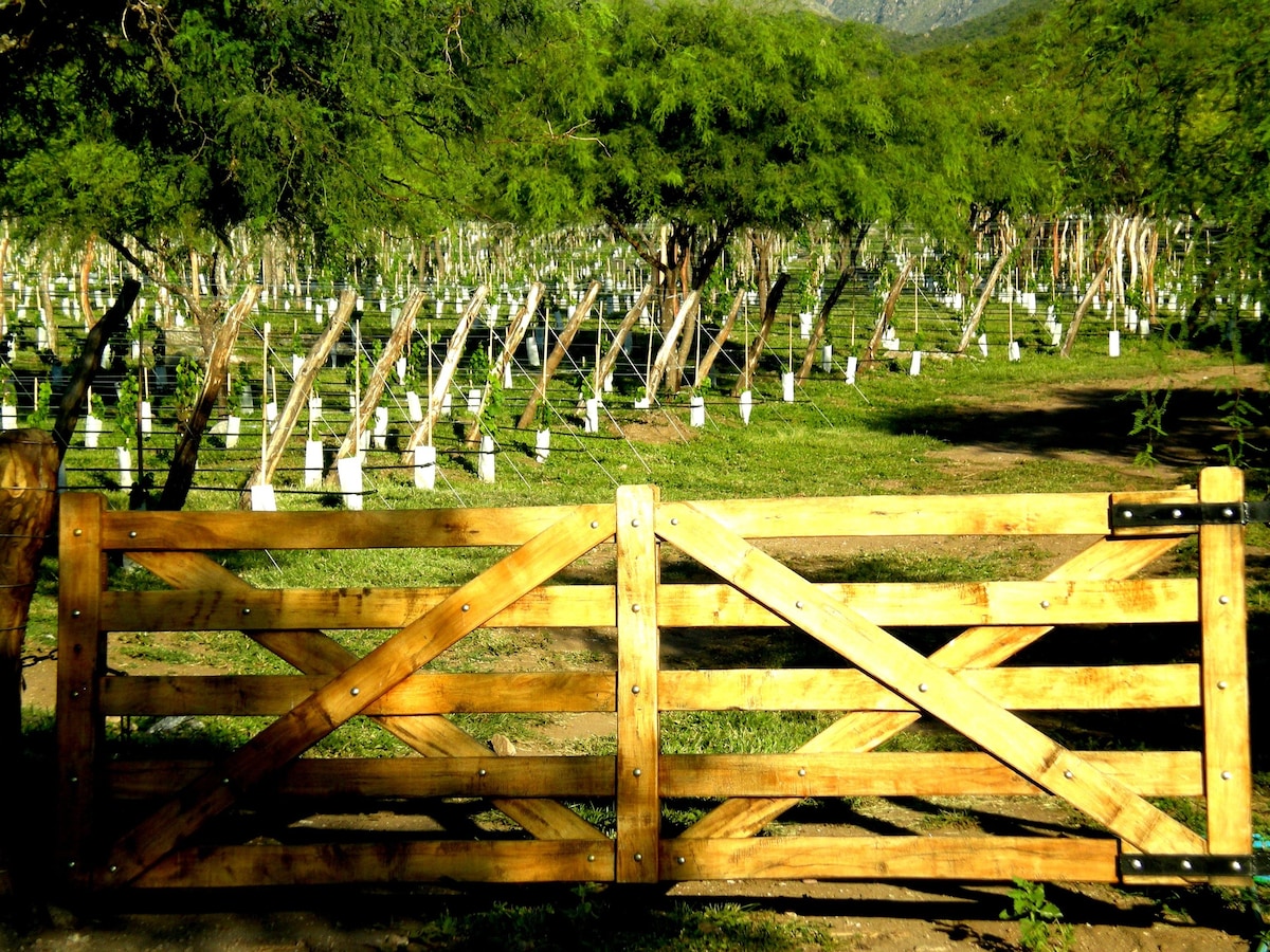 Cabania romantica en la sierra