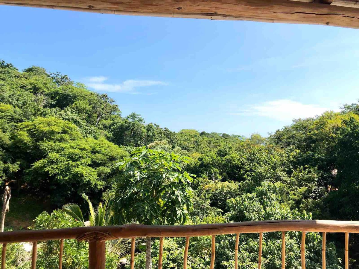 El nido del colibrí
en la naturaleza con piscina