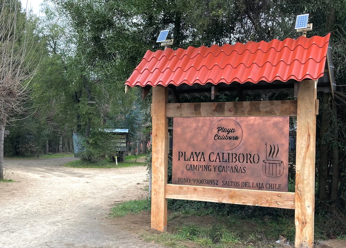 Saltos del Laja的Queltehue Cabin