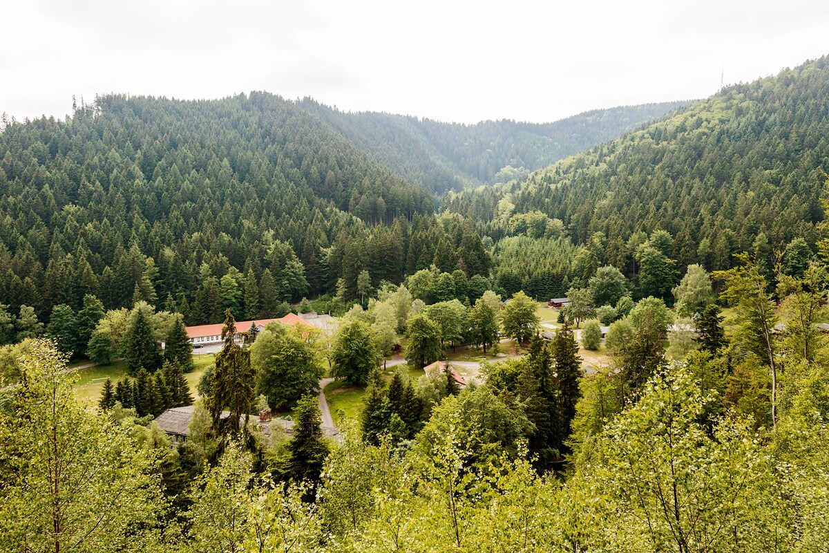 图林根森林（ Thuringian Forest ）双人床