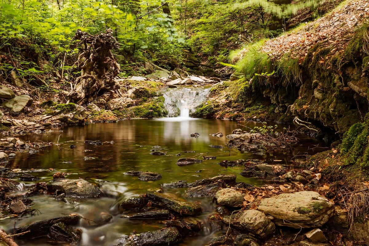 图林根森林（ Thuringian Forest ）双人床