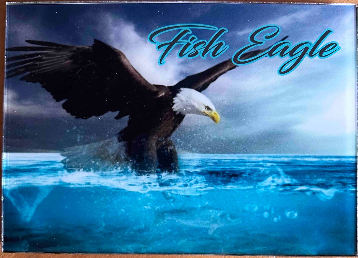 Falling Waters BnB - Fish Eagle Room