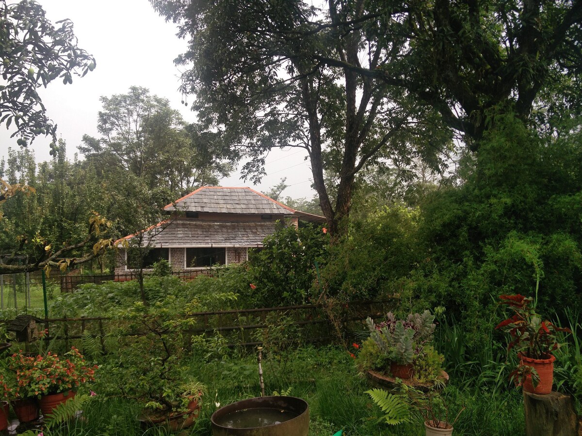位于Darang风景优美的茶园中的Peccan乡村小屋