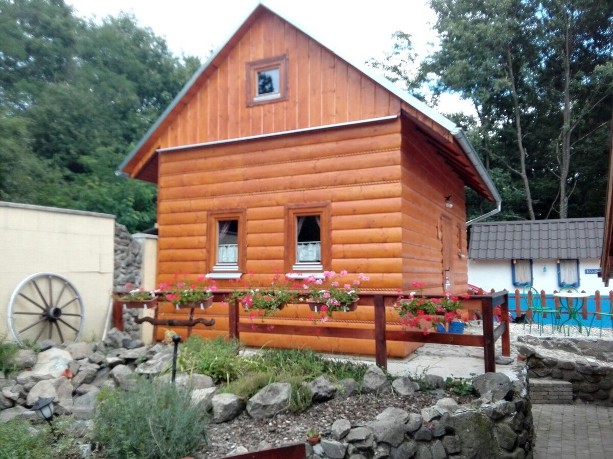 农场上舒适的传统斯洛伐克乡村小屋