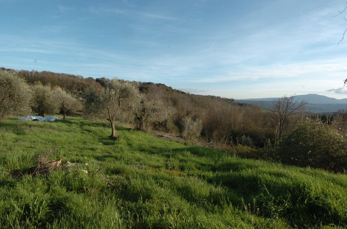 Panoramic view , 80 km from Rome