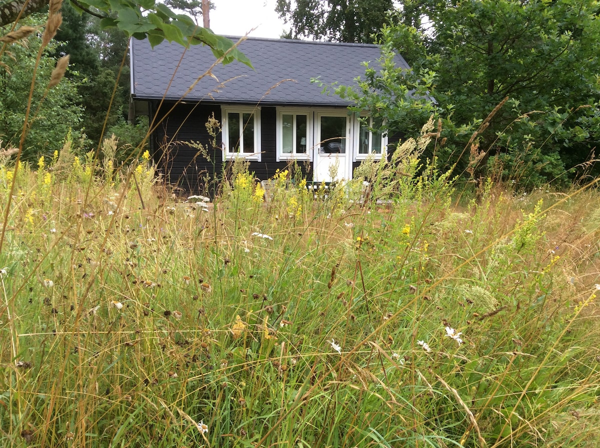 Nätt stuga vid porlande vatten och fågelsång