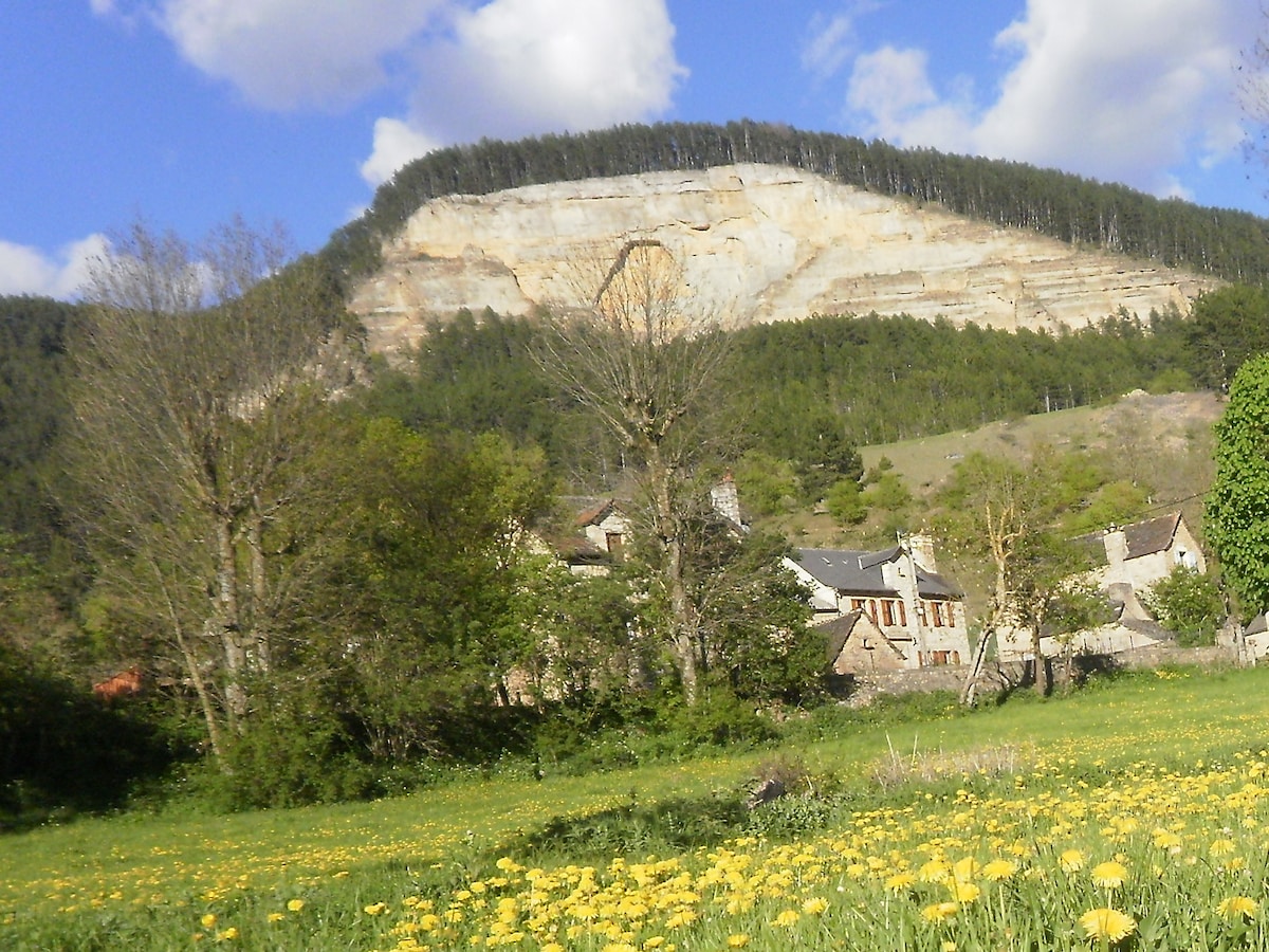 Petite maison bleue à la campagne