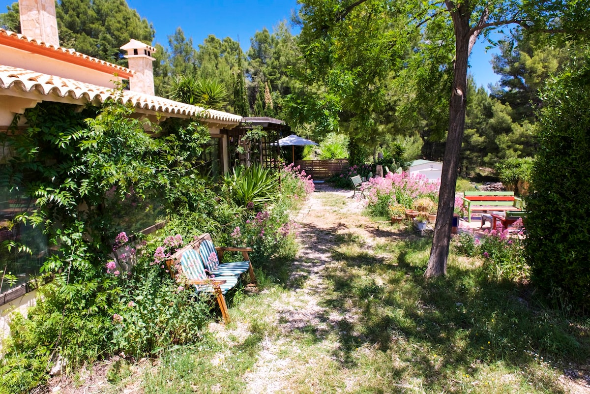 Cabaña - Sierra Aitana