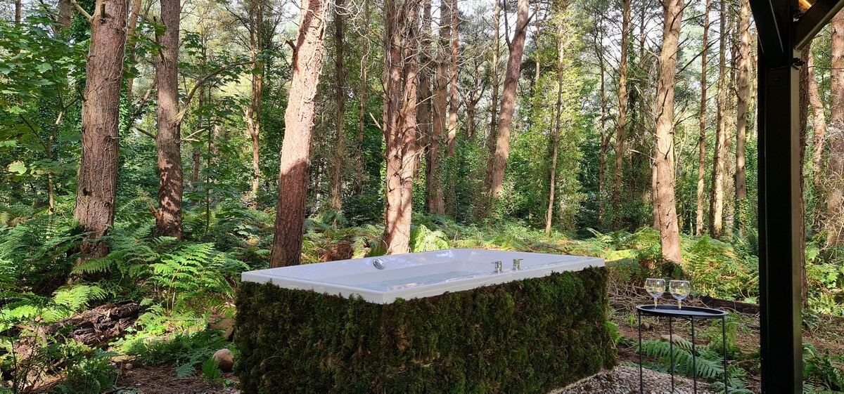 孔雀屋顶-精品树顶森林小屋