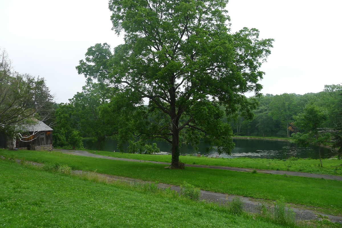 Blue Heron Lake House